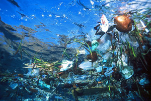 Isola di Rifiuti nell'Atlantico